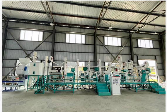 20噸帶色選成套組合碾米機 20噸帶色選成套組合碾米機